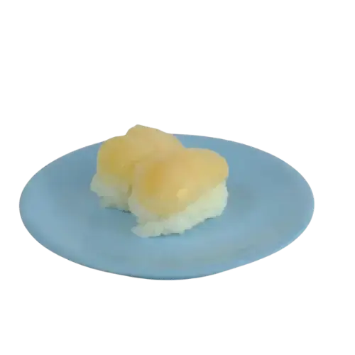 Sushi plate on conveyor belt